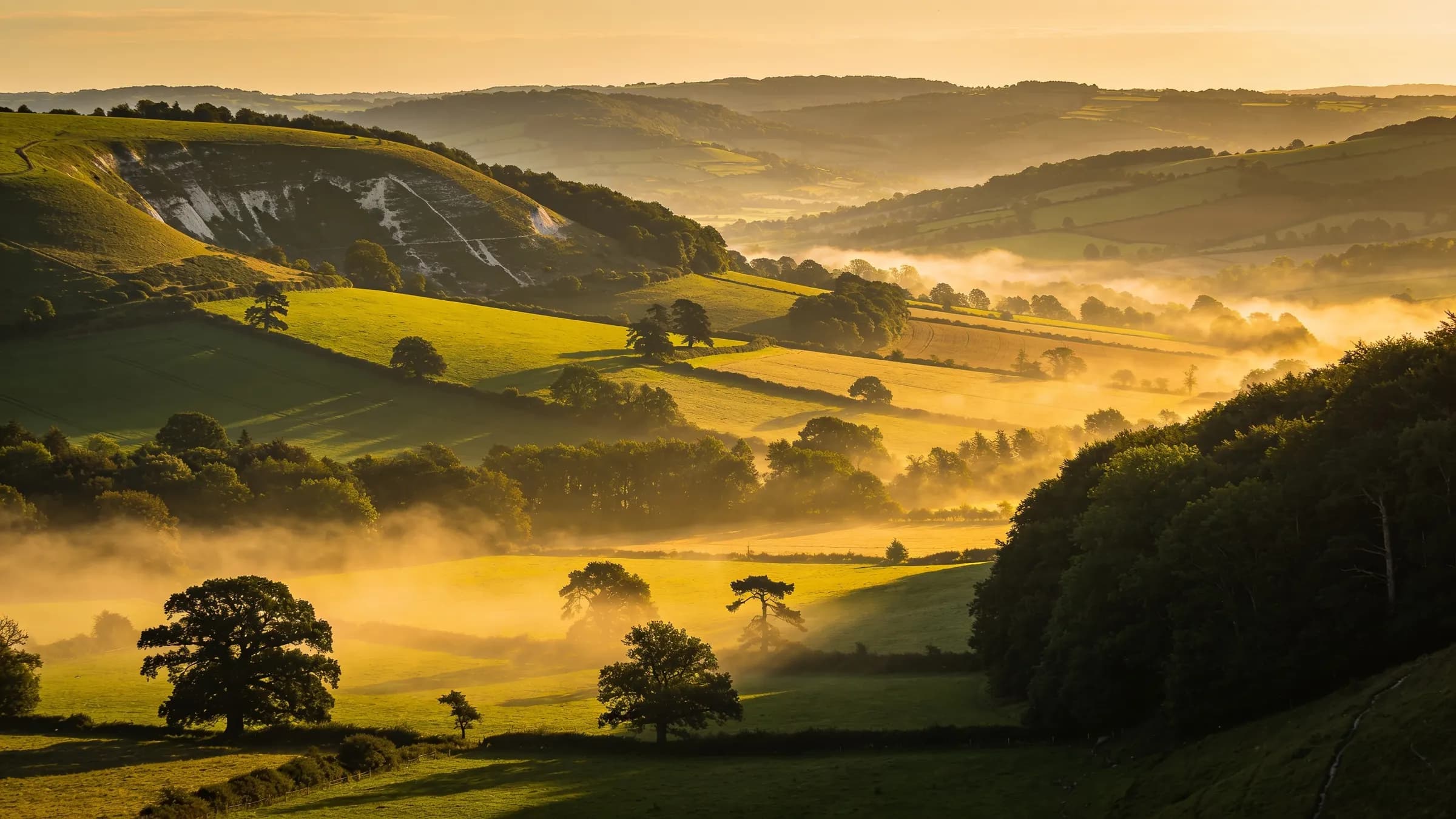 The Surrey Hills at golden hour, wooded ridges rolling to the horizon
