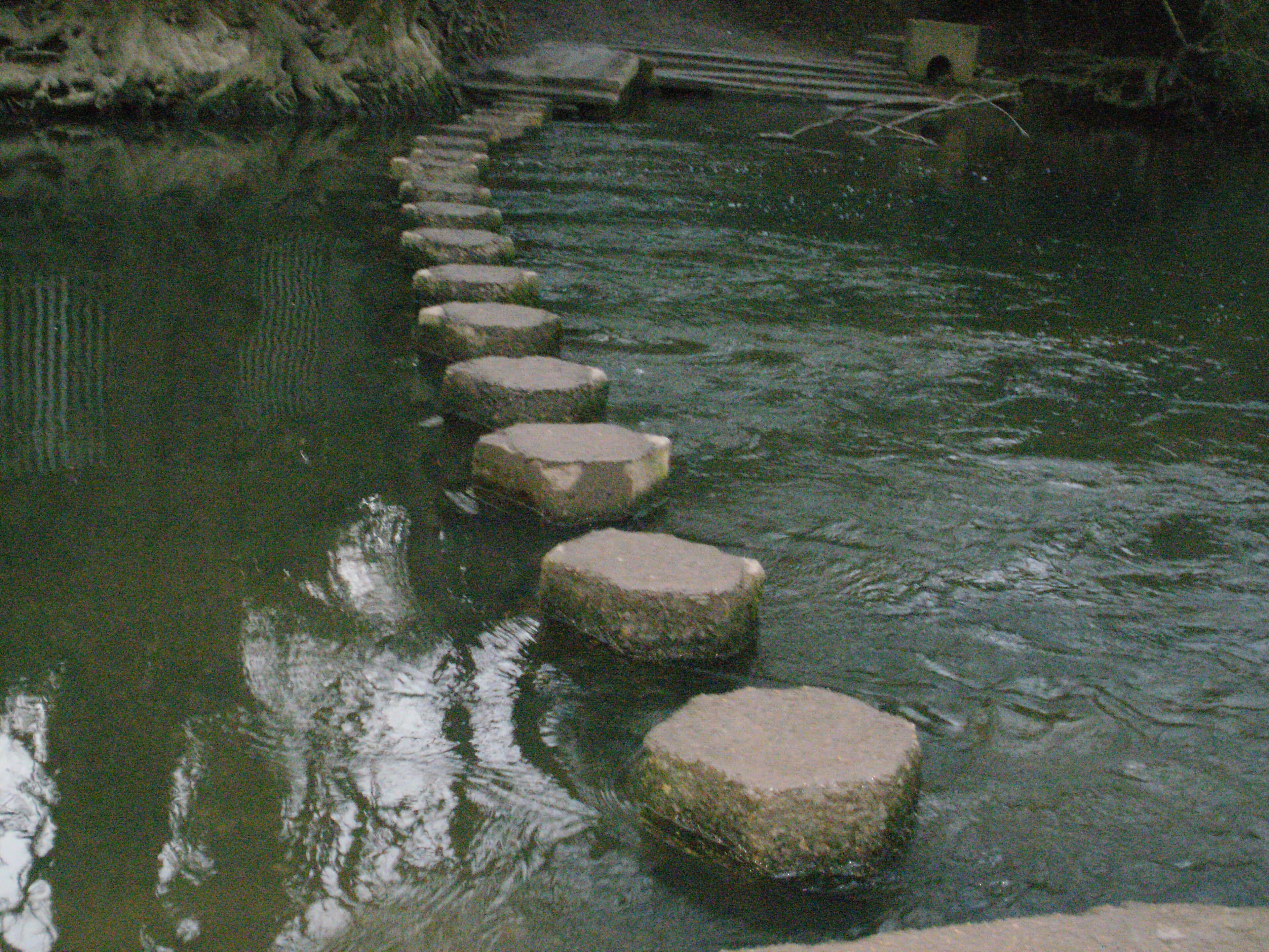 Line of large stepping stones crossing a dark, rippling river beneath overhanging trees and a muddy bank